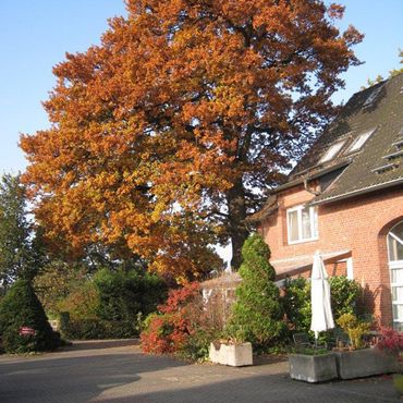 Ferienhof Dahlkamp - Unser Hof