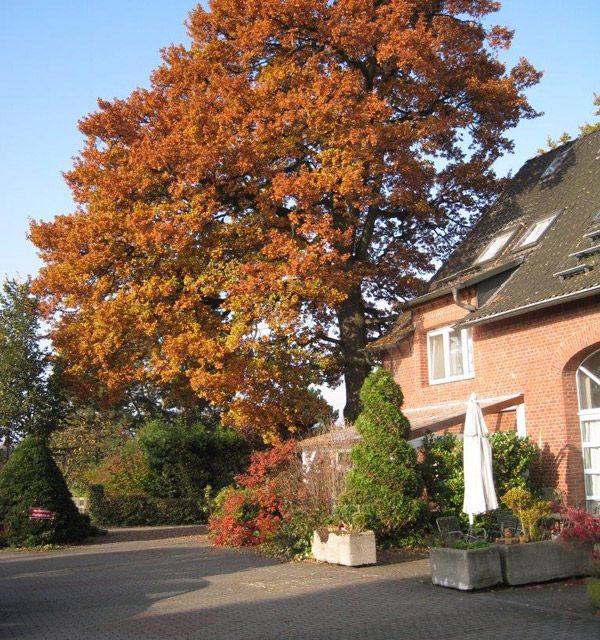 Ferienhof Dahlkamp - Unser Hof