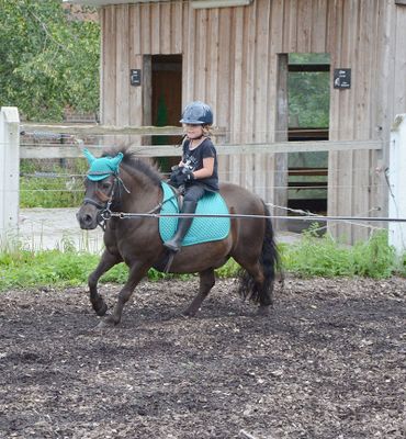 Ferienhof Dahlkamp - Reiten