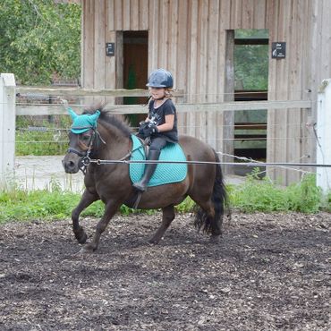Ferienhof Dahlkamp - Reiten