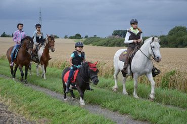 Ferienhof Dahlkamp - Reiten