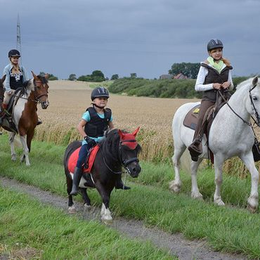 Ferienhof Dahlkamp - Reiten